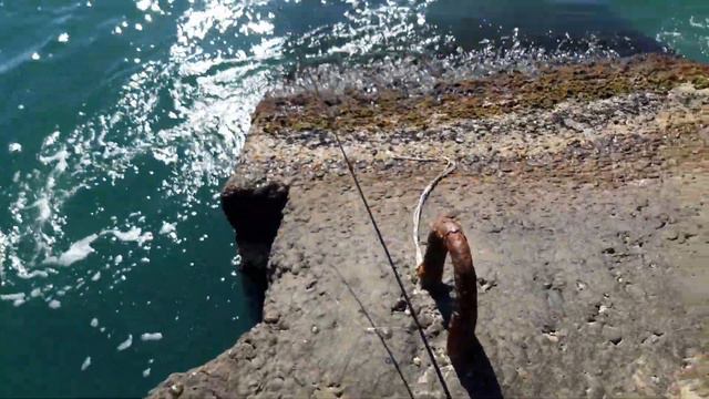 Лучше опарыш. смотреть онлайн