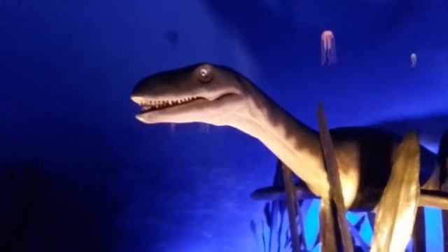 Old creatures #3 смотреть онлайн