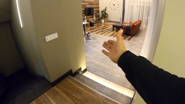 ХАСКИ ВИДИТ ПРИЗРАКА! Мистика в Доме смотреть онлайн