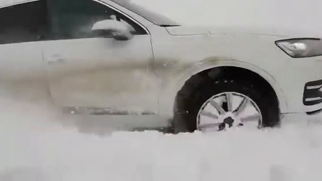 Q7 Вывозит кони в деле смотреть онлайн