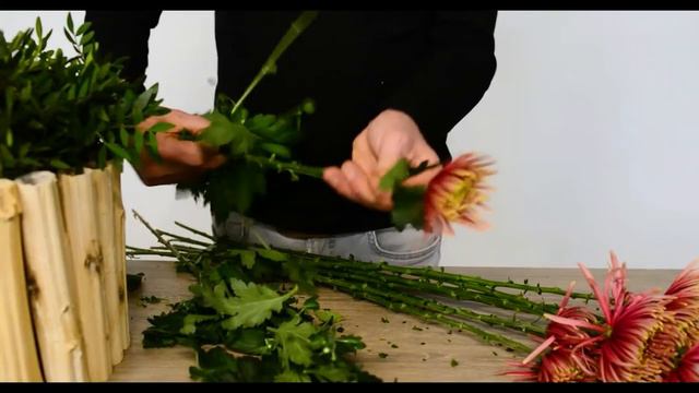 1-minute tutorial with Chrysanthemum Baltazar serie смотреть онлайн