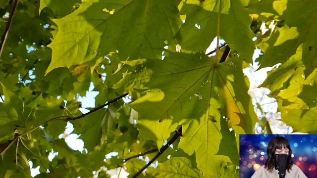 Обхитрив жену, муж с любовницей продали её дом и сбежали. Но обманутая жена приготовила им сюрприз. смотреть онлайн