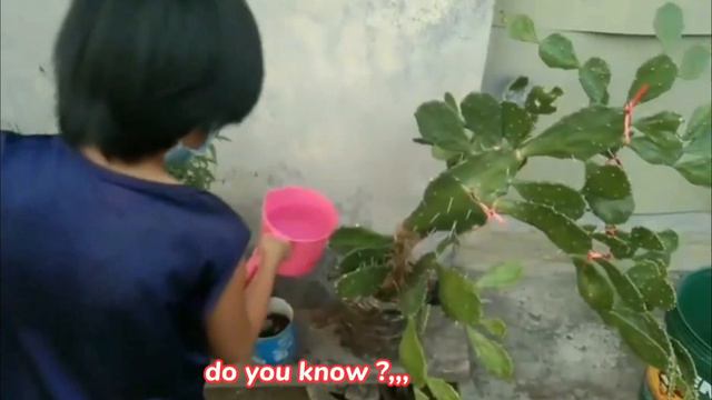 My Daily Routine During Lockdown//Mel Tomas смотреть онлайн