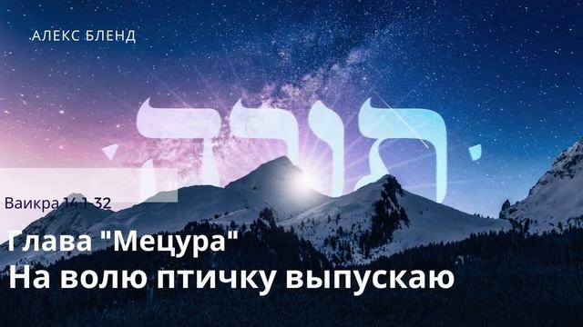 Проект 929. Книга Ваикра (Левит). Глава 14:1-32 смотреть онлайн
