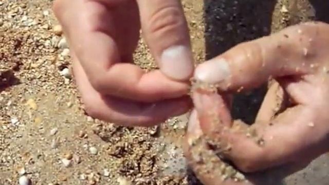 Секрет удачной рыбалки на Азовском море 2013г. смотреть онлайн