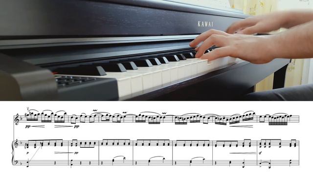 Marcello – Adagio – Piano Accompaniment смотреть онлайн