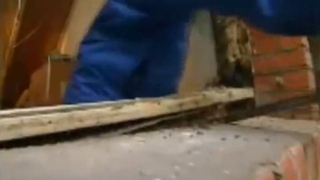 Окна Петербурга (812) 985-42-04 смотреть онлайн
