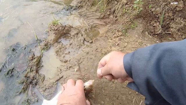 Рыбалка на Рузе на фидер. смотреть онлайн