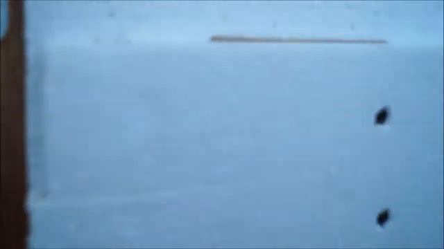 Зимние окролы в -17.