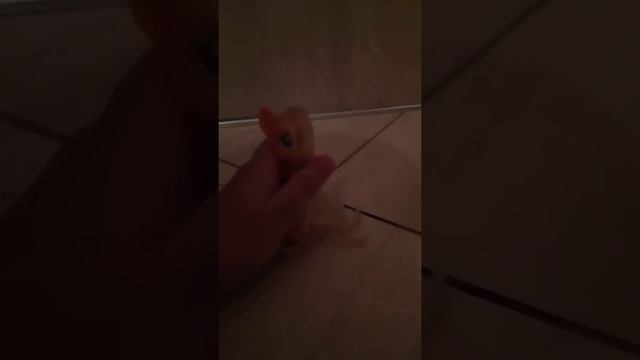 Как сделать чёлку пони без ножниц!!??????✌✌✌ смотреть онлайн