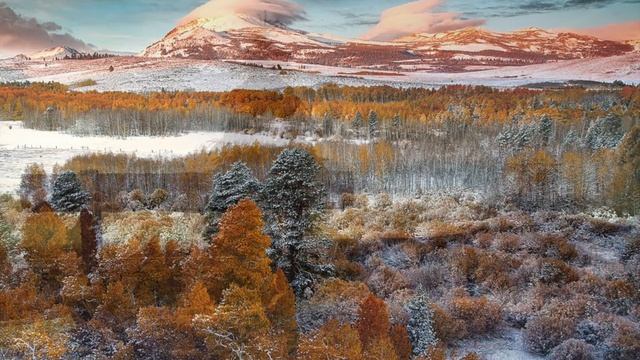 Снег. О, как я жду тебя! Надежда Тэффи. (слушать стихи о любви)