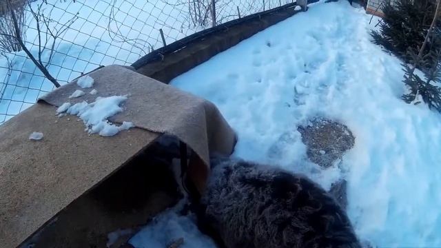 дерём-дерём в стрессе смотреть онлайн