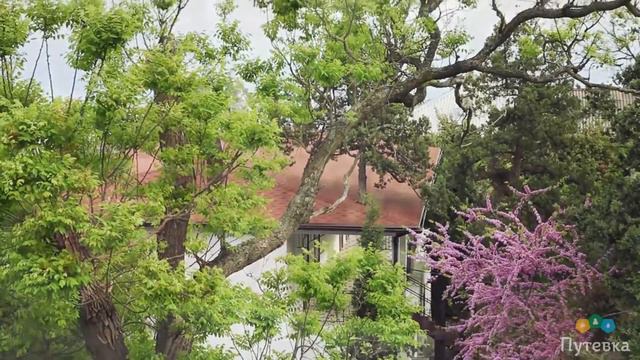 Дом отдыха Вилла Эдем (Крым, Ялта, пгт. Симеиз) смотреть онлайн