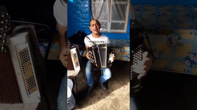 Трудобеликовский цыган играет на баяне 2 смотреть онлайн