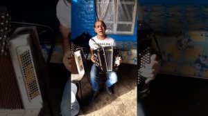 Трудобеликовский цыган играет на баяне 2