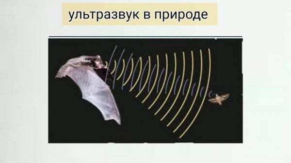 ультразвук и инфразвук для 9 класса. 9Б. Си.