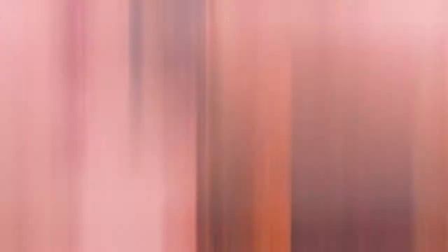 Эдит кс. Го+4фрага смотреть онлайн