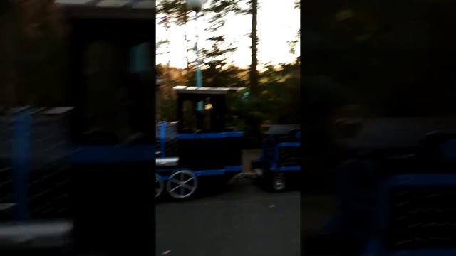 Зоопарк в Новосибирске смотреть онлайн