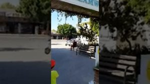 Отель DREAM FAMILY CLUB 4* KUMKOY SIDE TURKEY: обзор главного бассейна