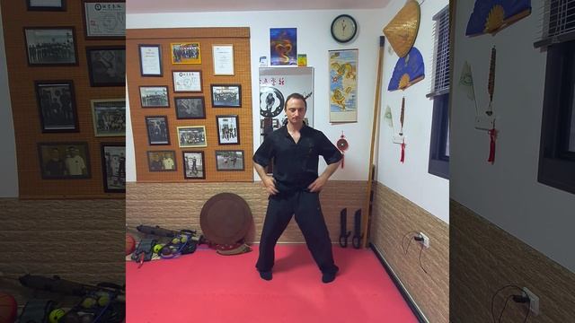 3 connections in wing chun смотреть онлайн