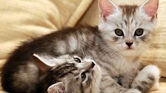 Новинки русские. Реальный хит! Это стоит послушать! смотреть онлайн