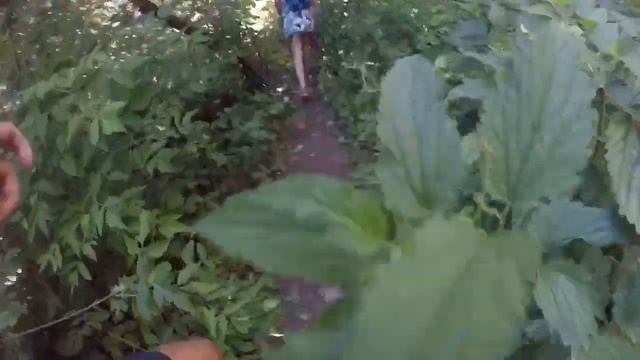 Дикий пляж близ города Уфа в запретной зоне смотреть онлайн