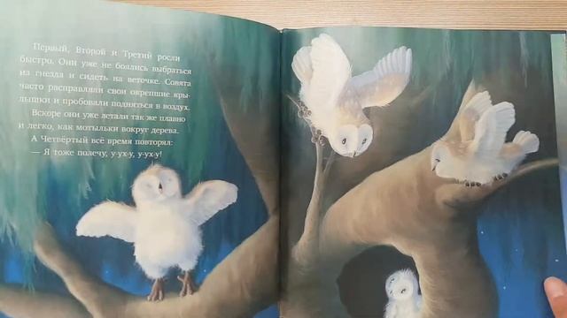 Самый маленький совёнок. Кэролайн Питчер. Издательство Нигма смотреть онлайн
