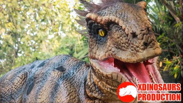 How to Dress Dinosaur Costume смотреть онлайн