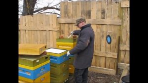 Подкормка пчел, сиропом в пакетах