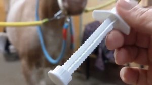Как мы даем глистогонное лошадям. Шприц - дозатор