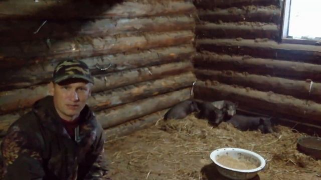 Переезд многодетной семьи в село смотреть онлайн