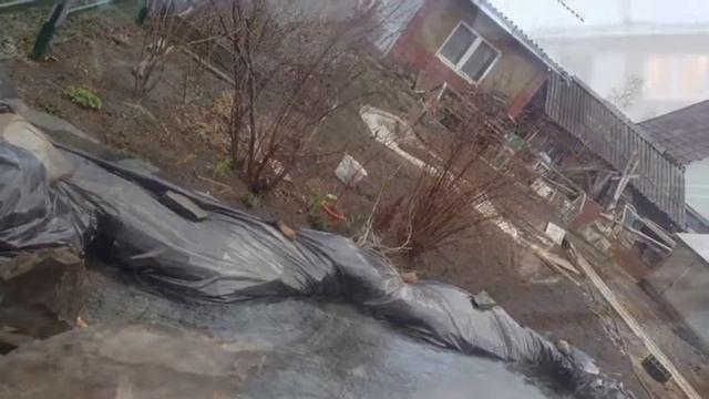 прудик смотреть онлайн