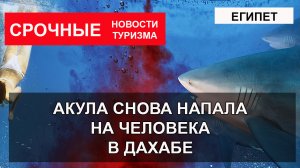 СРОЧНО! ЕГИПЕТ 2023| Акула снова напала на человека в Дахабе