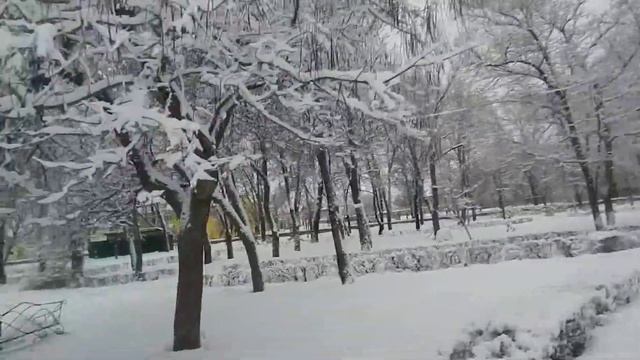 Донецк РФ зимняя прогулка