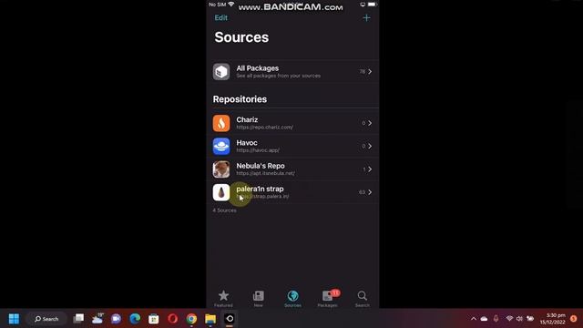 How To Install Terminal With NewTerm2 IOS 16/iOS 15 On Palera1n Jailbreak IOS 16/15 | 2023