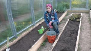 Высаживаем томаты, перцы и огурцы в теплицу