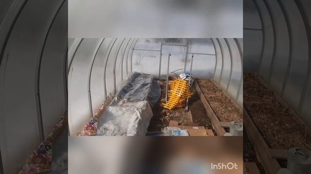 С появлением новых жильцов дачный сезон открыт смотреть онлайн