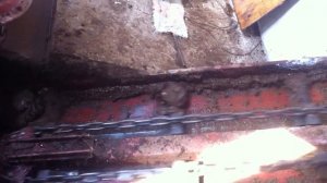 МТФ Торкунов Б.С. (система навозоудаления). Транспортеры ТСН-160. Видео 2