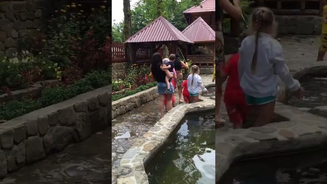 Рыбалка в Лазаревской кафе у Горца смотреть онлайн