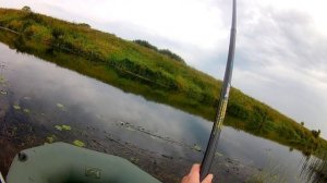 Как НАЛОВИТЬ ВЕДРО плотвы. ЛУЧШАЯ НАЖИВКА НА ПЛОТВУ. 



#удочка #поплавок #плотва #поплавочный