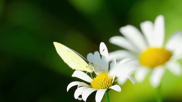 Почему мама так со мной поступает? | истории из жизни | интересные истории | поучительные истории смотреть онлайн