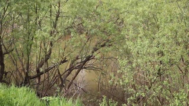 Бежит река смотреть онлайн