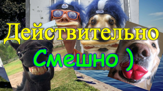 это Действительно Смешно v 008 смотреть онлайн