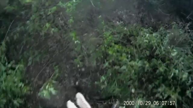 Floridaman Saves ALLIGATOR From PYTHON ATTACK! REAL Everglades Contractor TRAPPER MIKE смотреть онлайн
