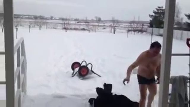 Обливание холодной водой. После тренировки FlyBall смотреть онлайн