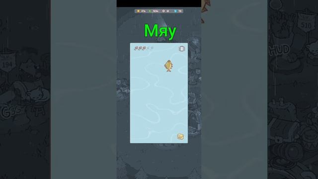 Обзор на мою прокачку в кошки и суп