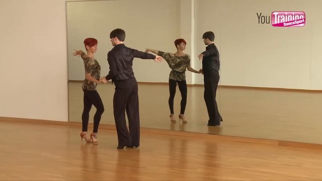 WDSF Technique Books | The Jive