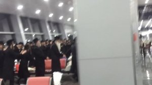 Еврейский танец хасидов в аэропорту Борисполь