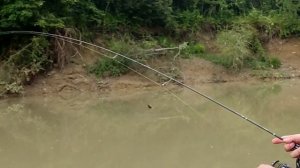 Обзор на спиннинг KAIDA "Poetic" Новинка 2023 года #poetic #kaida