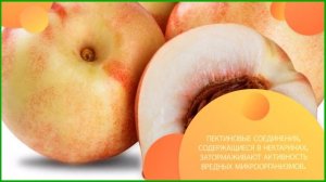 Нектарин — что это и чем полезен?